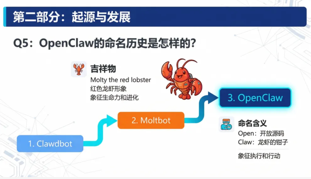 通俗易懂的OpenClaw科普：龙虾到底是什么，普通人养虾全攻略