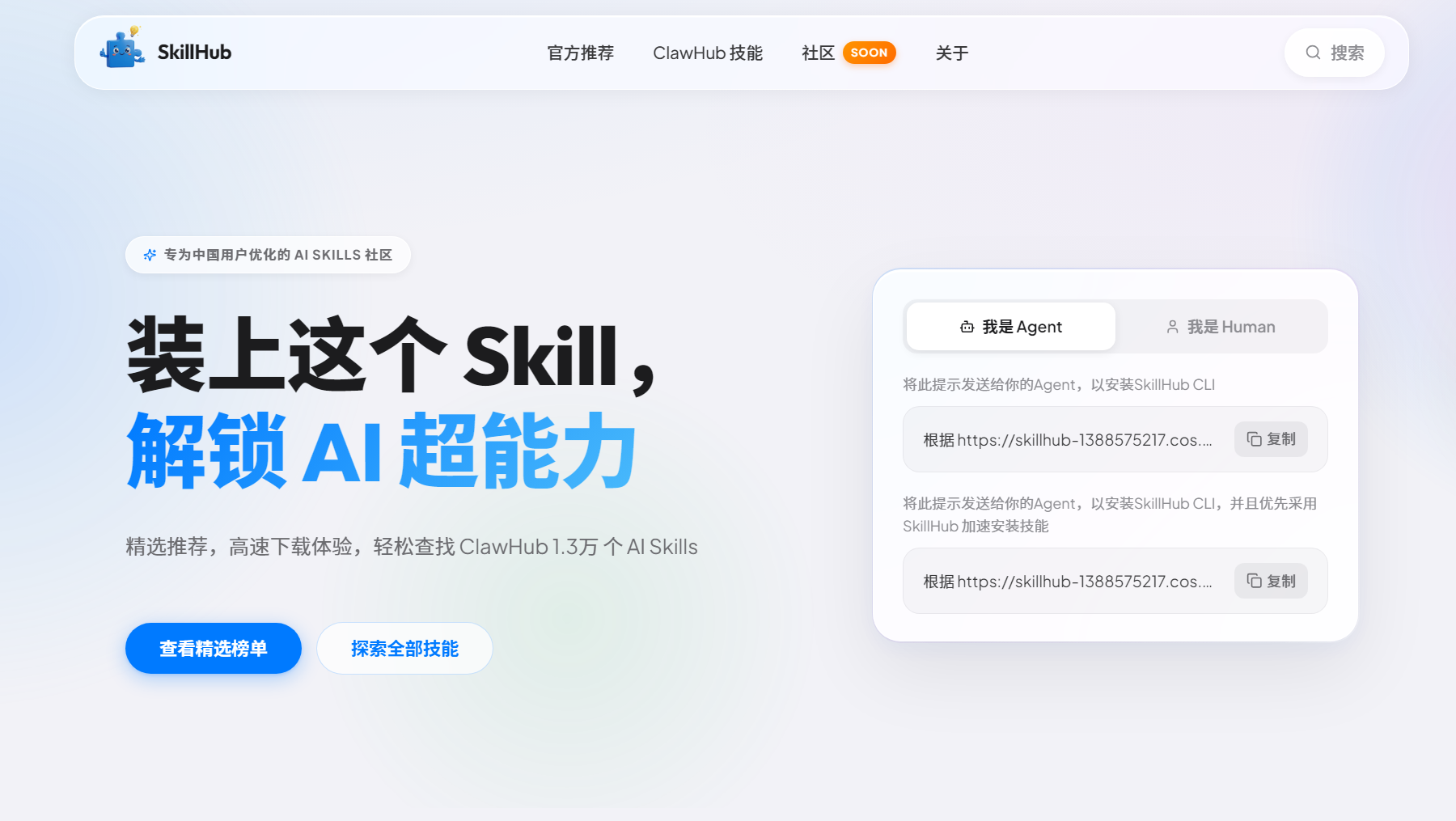 SkillHub