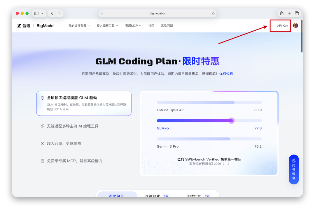 回到 Coding Plan 页面并点击 API Key 按钮