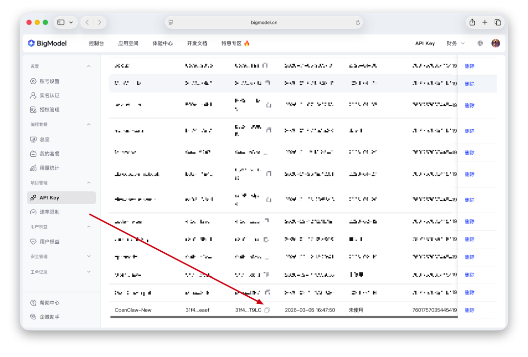 在 API Key 界面复制新创建的 Key