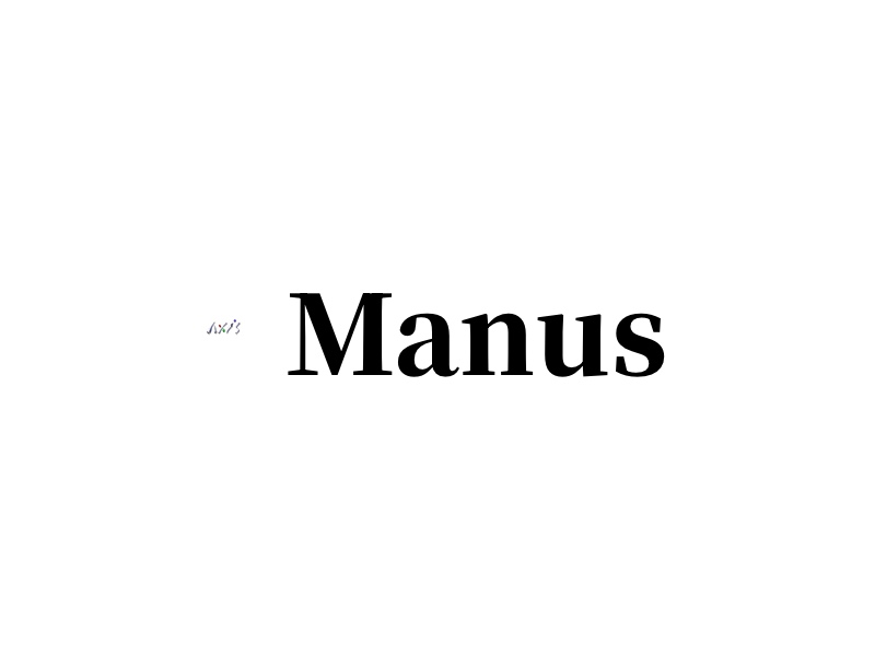Manus-全球首款通用型AI智能体（AI Agent）