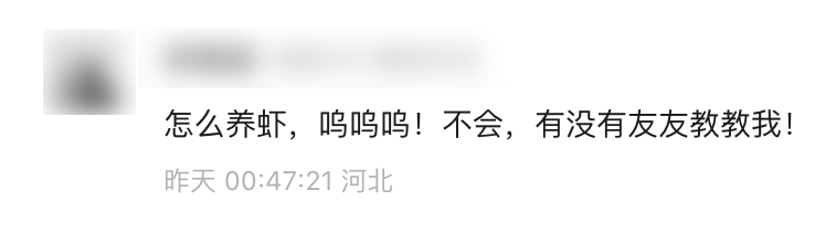 官方手册：元宝派「养虾」常见问题答疑