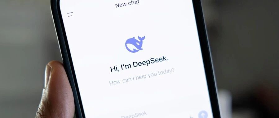 人民想念DeepSeek