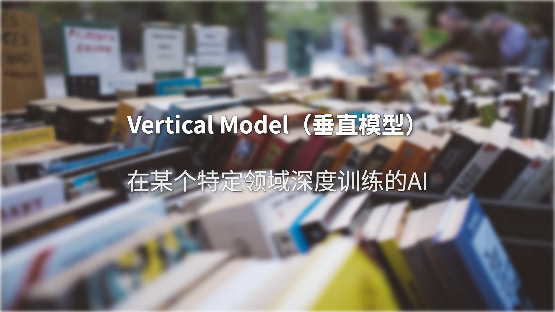 Vertical Model（垂直模型）：为什么"全科医生"打不过"专科医生"