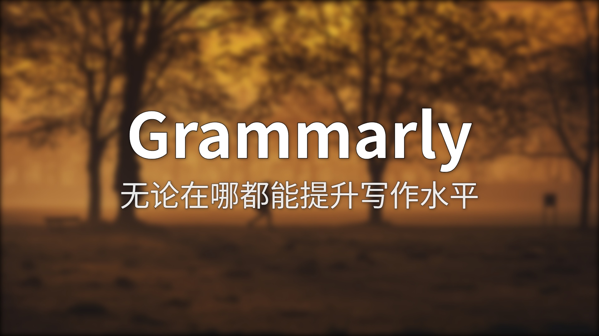 Grammarly评测：从语法纠错到 Agents，这个写作助手进化了多少