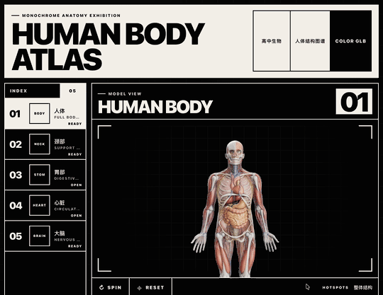 如何用 Codex + Blender,做出全网爆火的 3D 人体模型教科书?