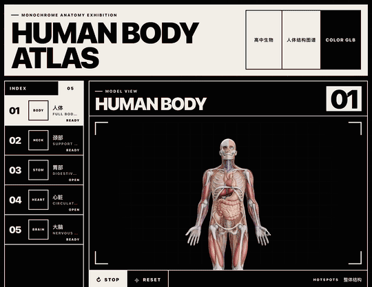 如何用 Codex + Blender,做出全网爆火的 3D 人体模型教科书?