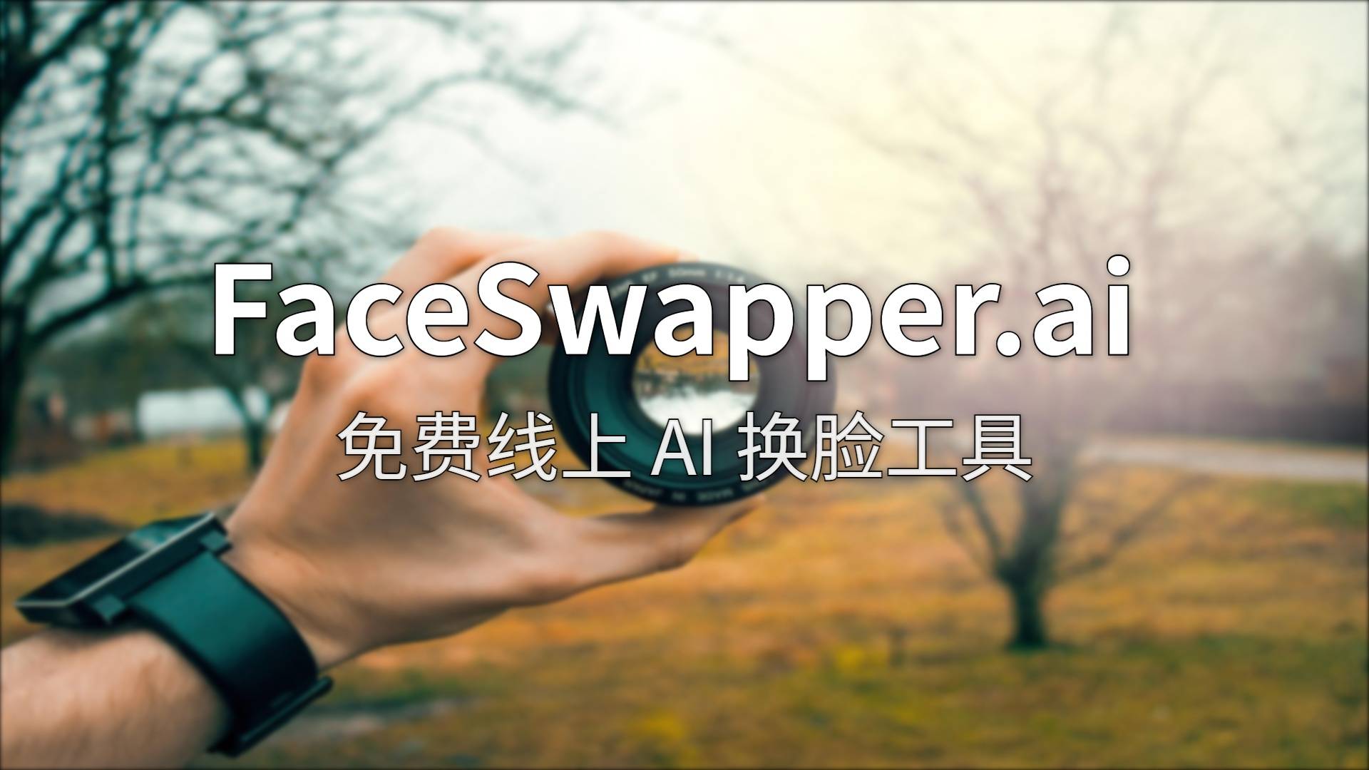 FaceSwapper.ai 测评：零门槛 AI 换脸工具，值不值 $29/月？