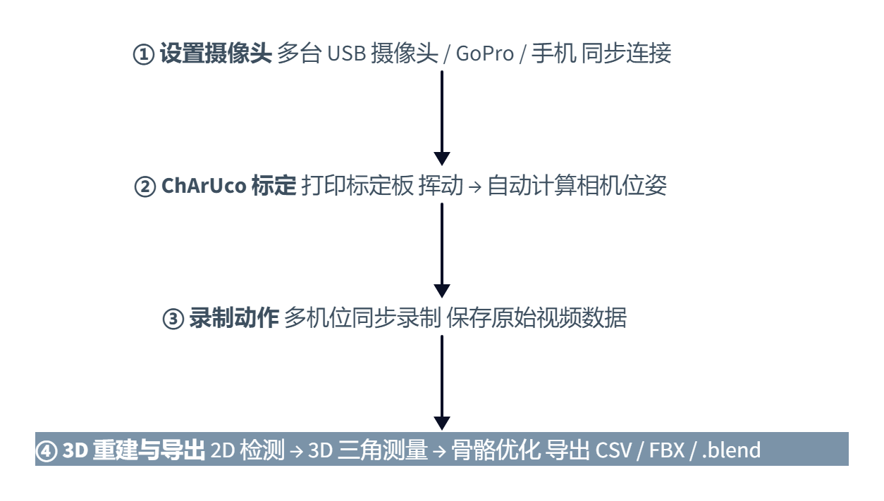 FreeMoCap：用普通摄像头做动捕，这事靠谱吗？