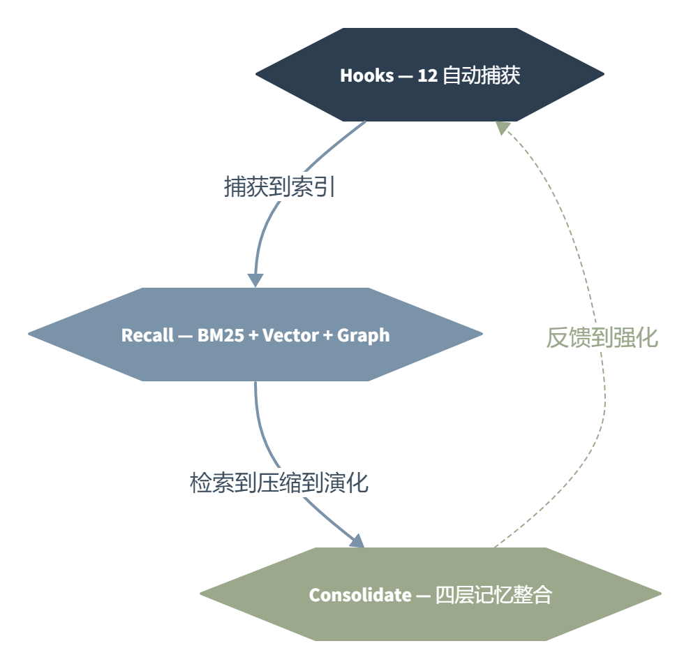 AgentMemory:给你的 AI 编程 Agent 装一个不会忘事的大脑