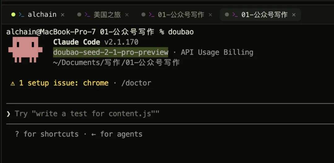 终端里doubao驱动Claude Code,自报模型名