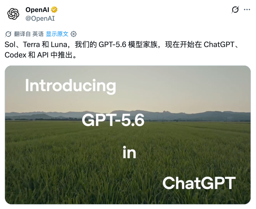面试官坏笑:“GPT-5.6 刚发布,比 Claude 5 和 Grok 4.5 强吗?” 我怒骂:“现场给你测试是吧?”