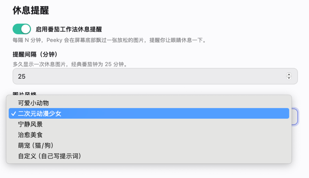 风格选项