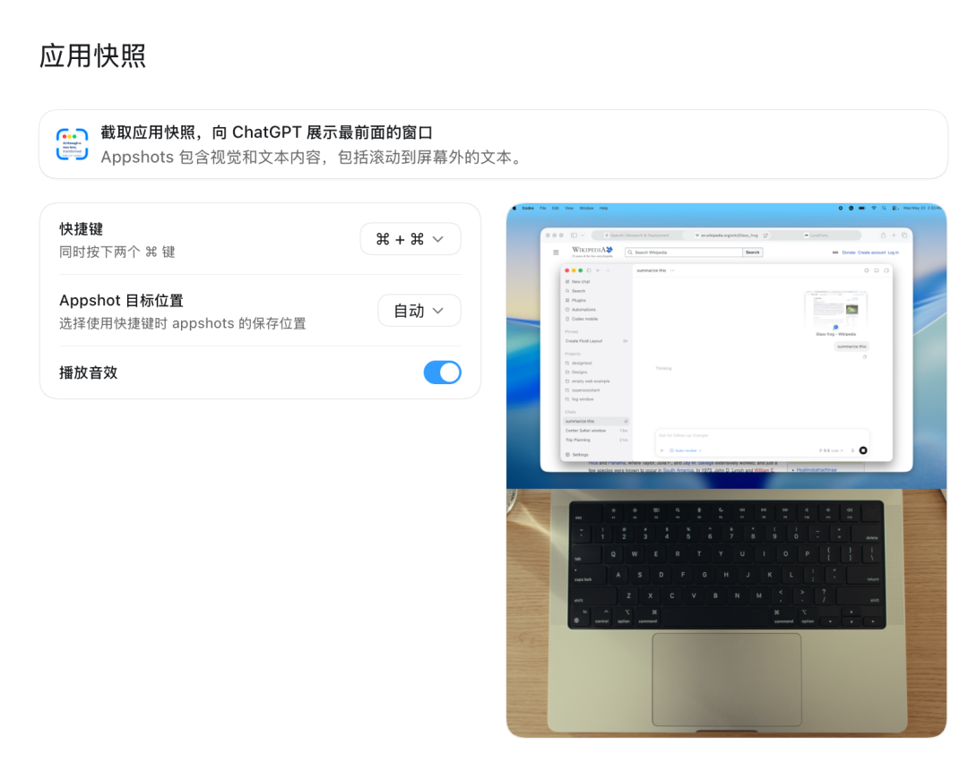 Codex 隐藏功能