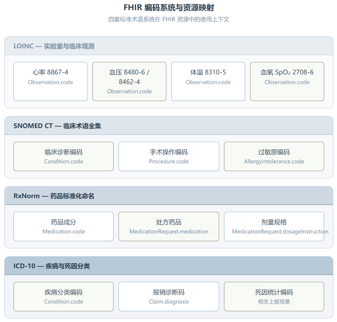 FHIR Developer ：把医疗数据交换规范焊进 AI 编程助手