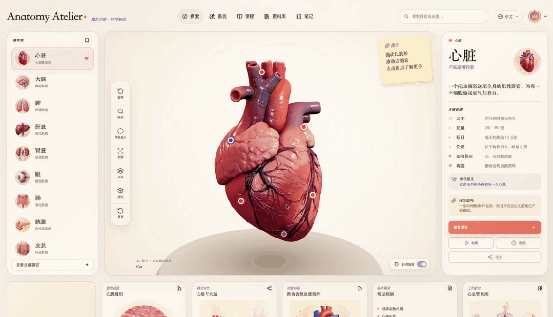 GitHub 有一个 3D 人体器官网站火了,看看怎么用 AI 做出来的。