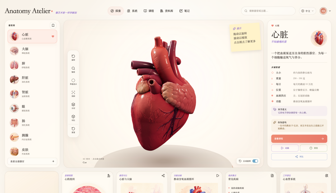 GitHub 有一个 3D 人体器官网站火了,看看怎么用 AI 做出来的。