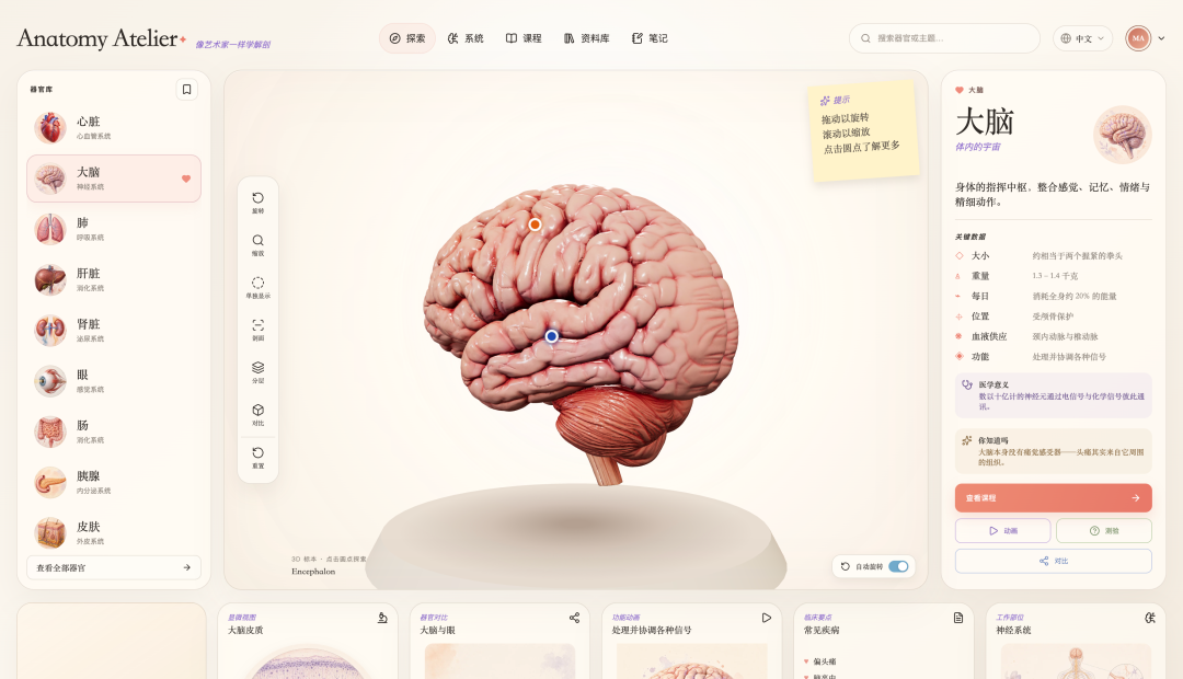 GitHub 有一个 3D 人体器官网站火了,看看怎么用 AI 做出来的。