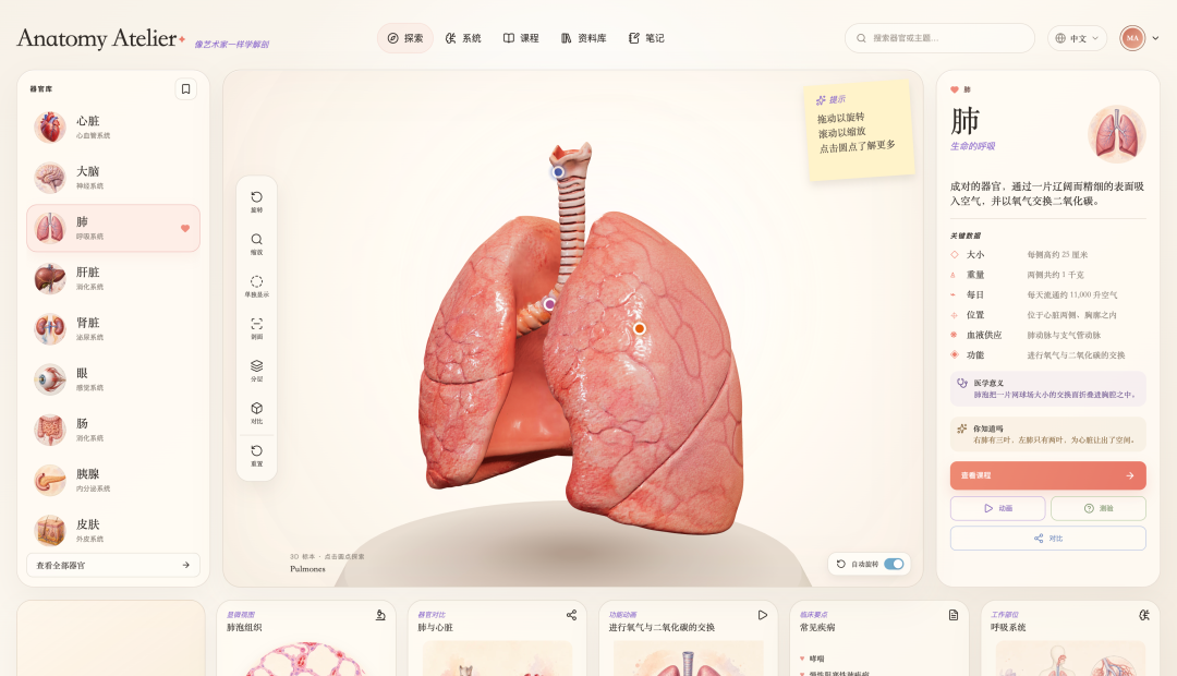 GitHub 有一个 3D 人体器官网站火了,看看怎么用 AI 做出来的。
