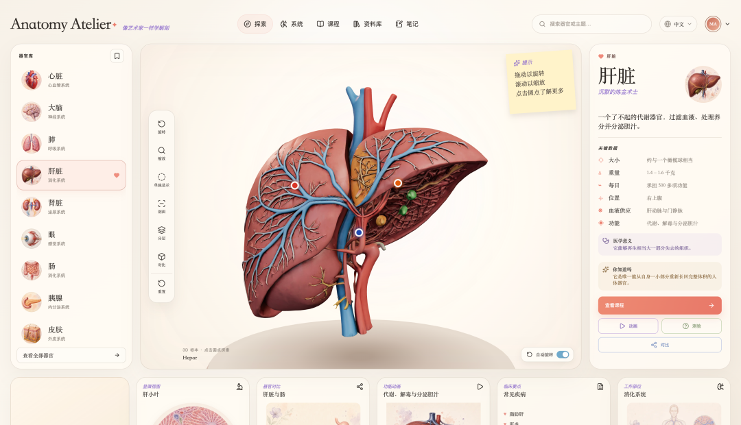 GitHub 有一个 3D 人体器官网站火了,看看怎么用 AI 做出来的。
