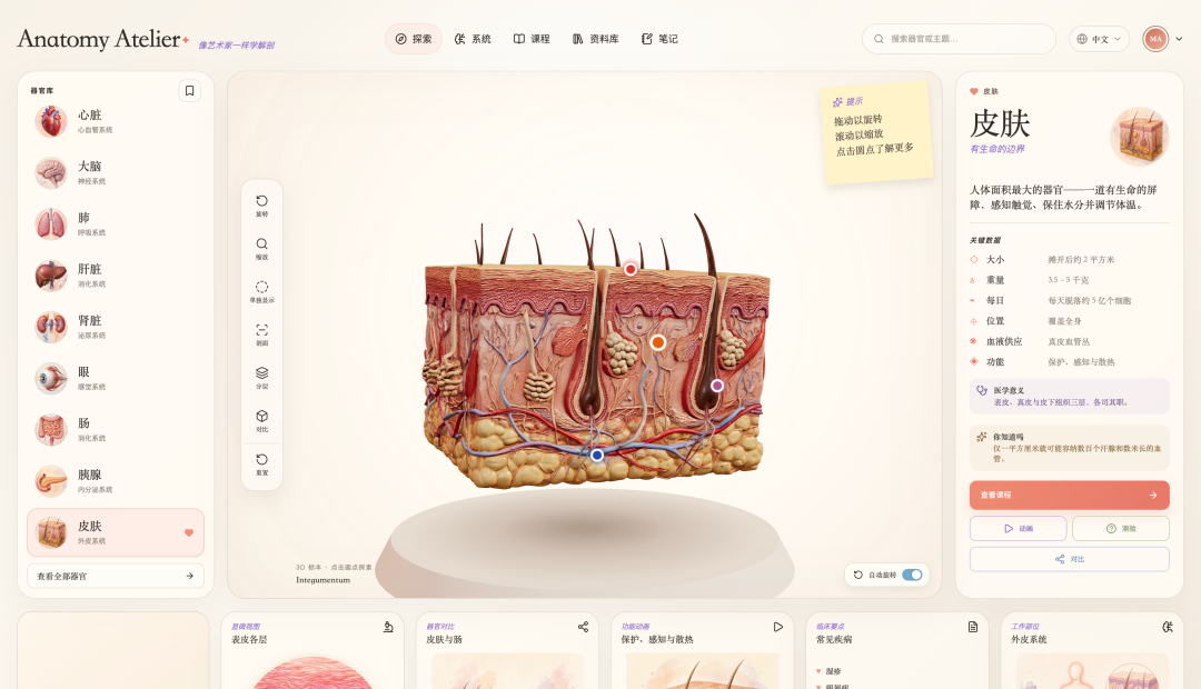 GitHub 有一个 3D 人体器官网站火了,看看怎么用 AI 做出来的。