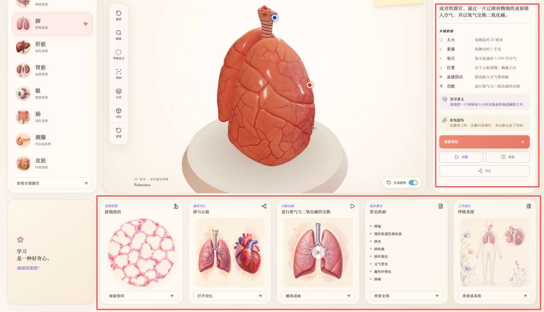 GitHub 有一个 3D 人体器官网站火了,看看怎么用 AI 做出来的。