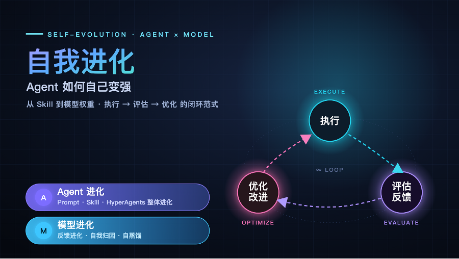 Agent如何自己变强？从Skill到模型权重的进化全景图