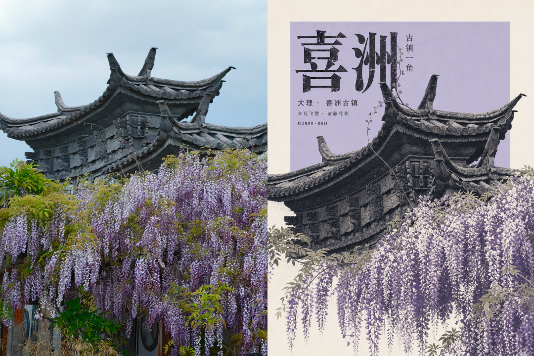 喜洲对比