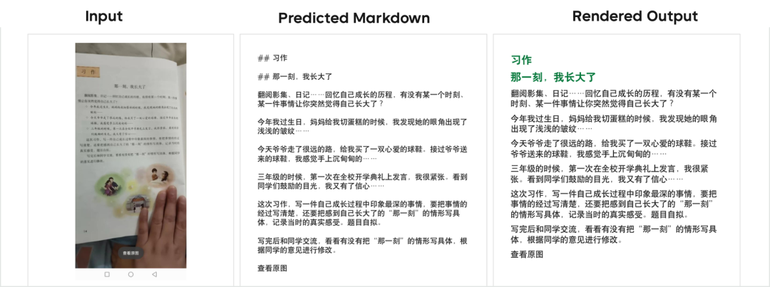 拍摄文档解析样例