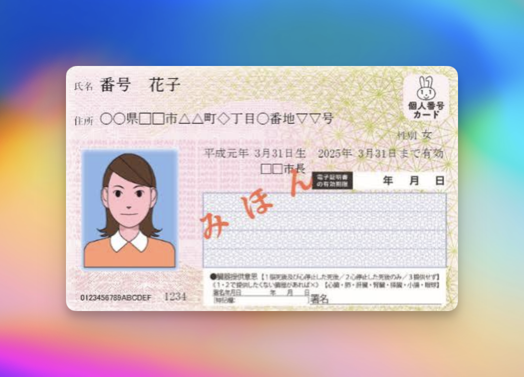 image-20261012095202914.png