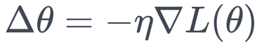 \Delta \theta = -\eta \nabla L(\theta)