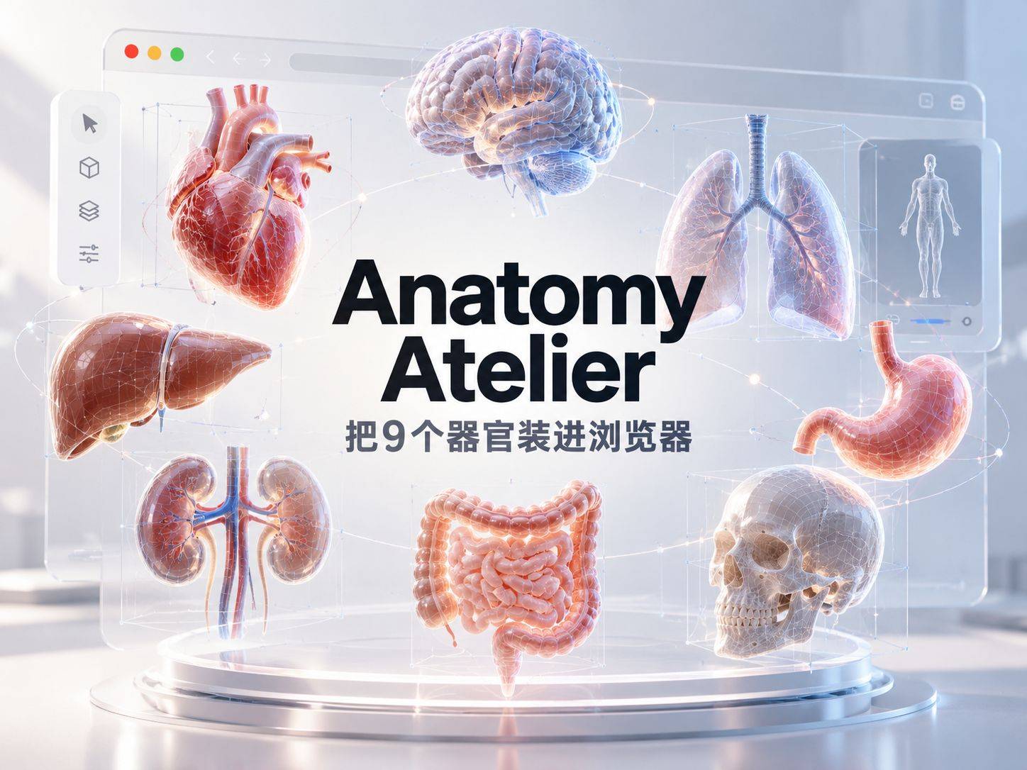Anatomy Atelier ：把 9 个器官装进浏览器